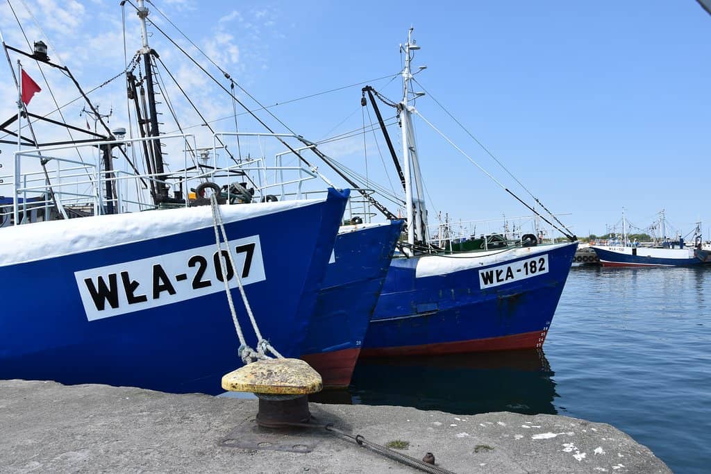 Fishing Boat Harbor