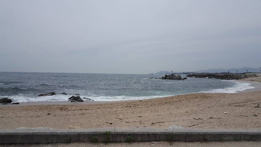 Ocean View Cafes