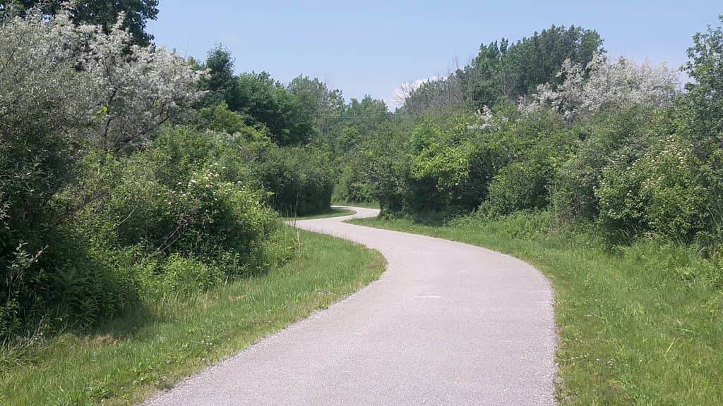 Tree Fort Playground