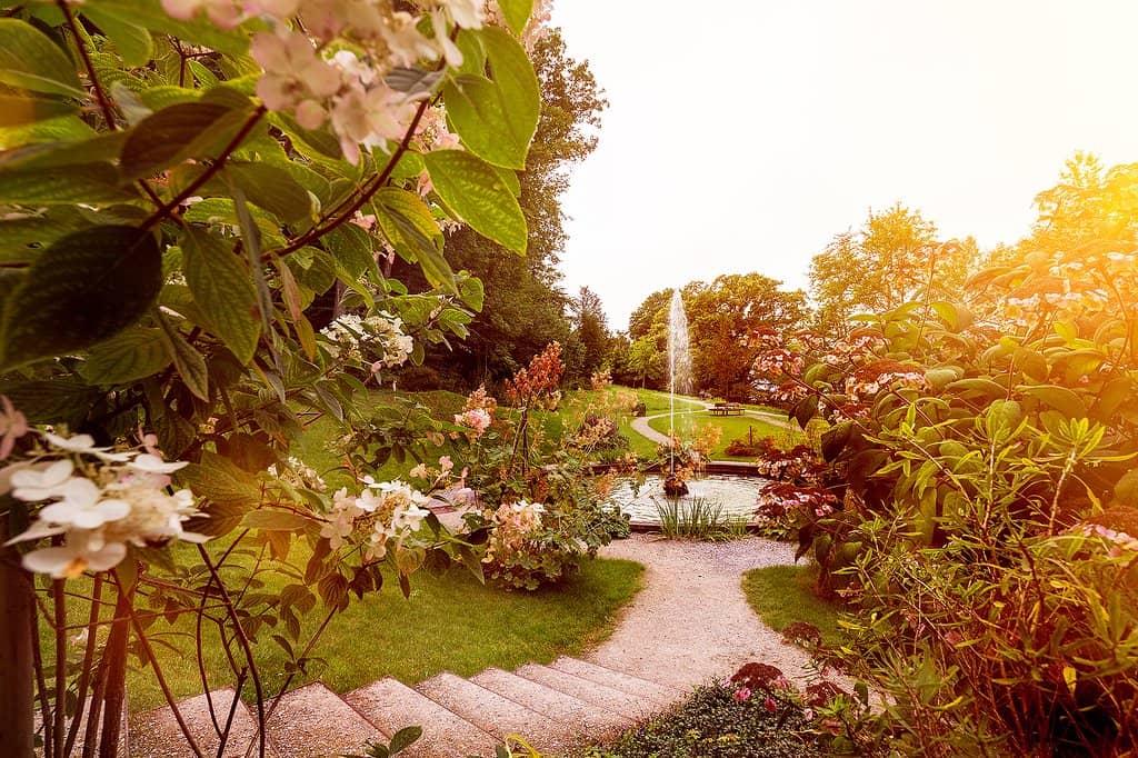 Napoleon's Death Mask