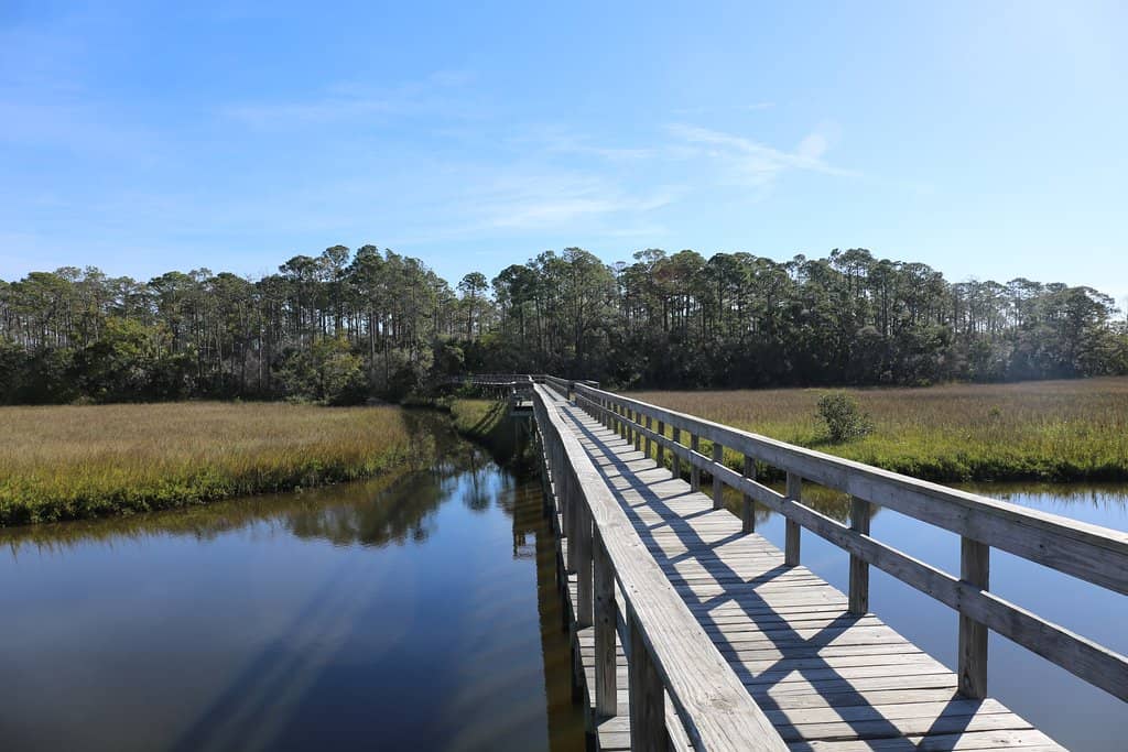 Birdwatching Opportunities