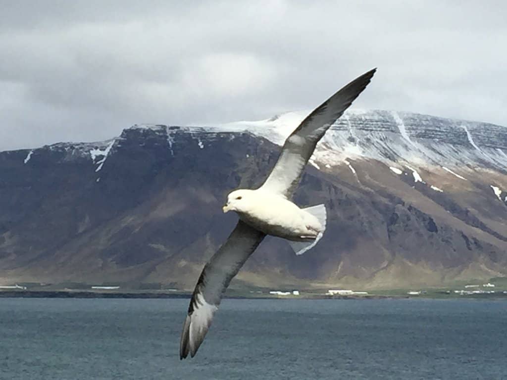 Imagine Peace Pavilion