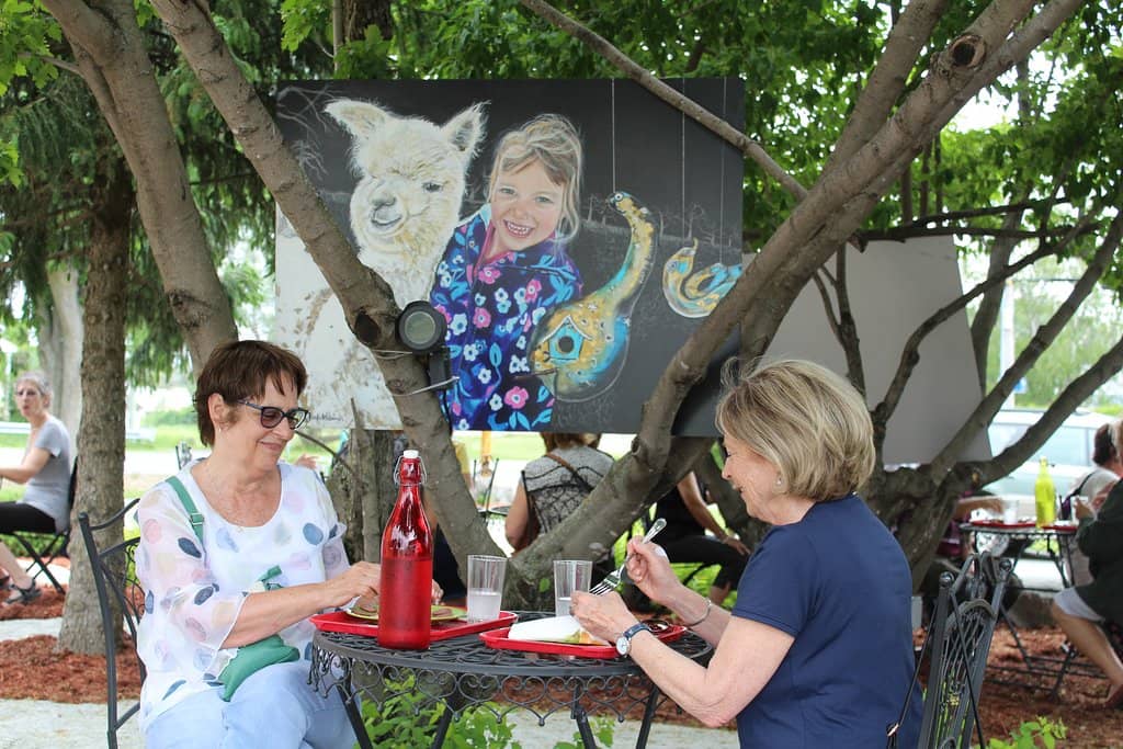 Farm Animal Encounters