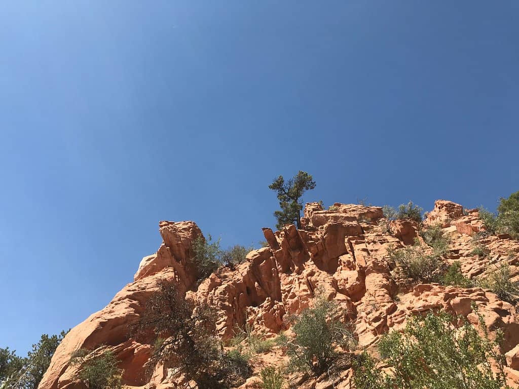 Mountain Biking Trails