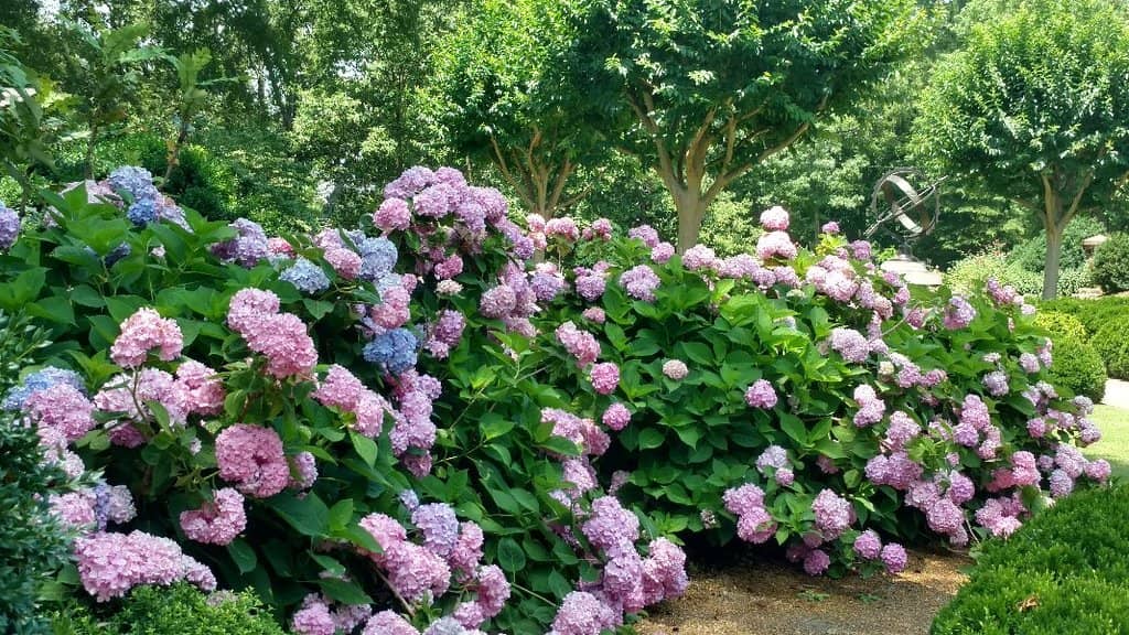 Architectural Water Tower