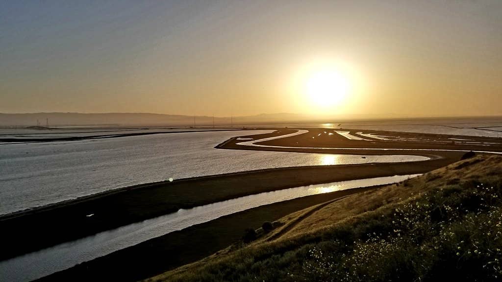 Salt Pond Ecosystems