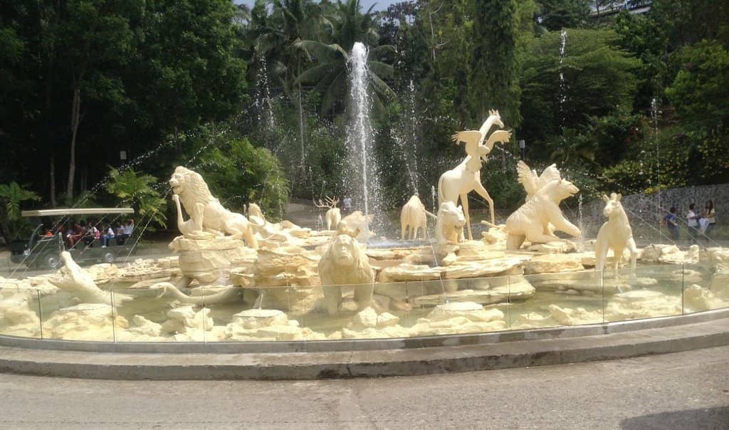 Llama and Capybara Encounters