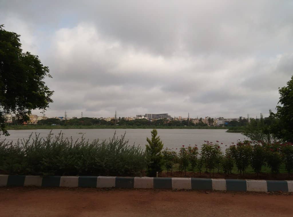 Scenic Walking Track