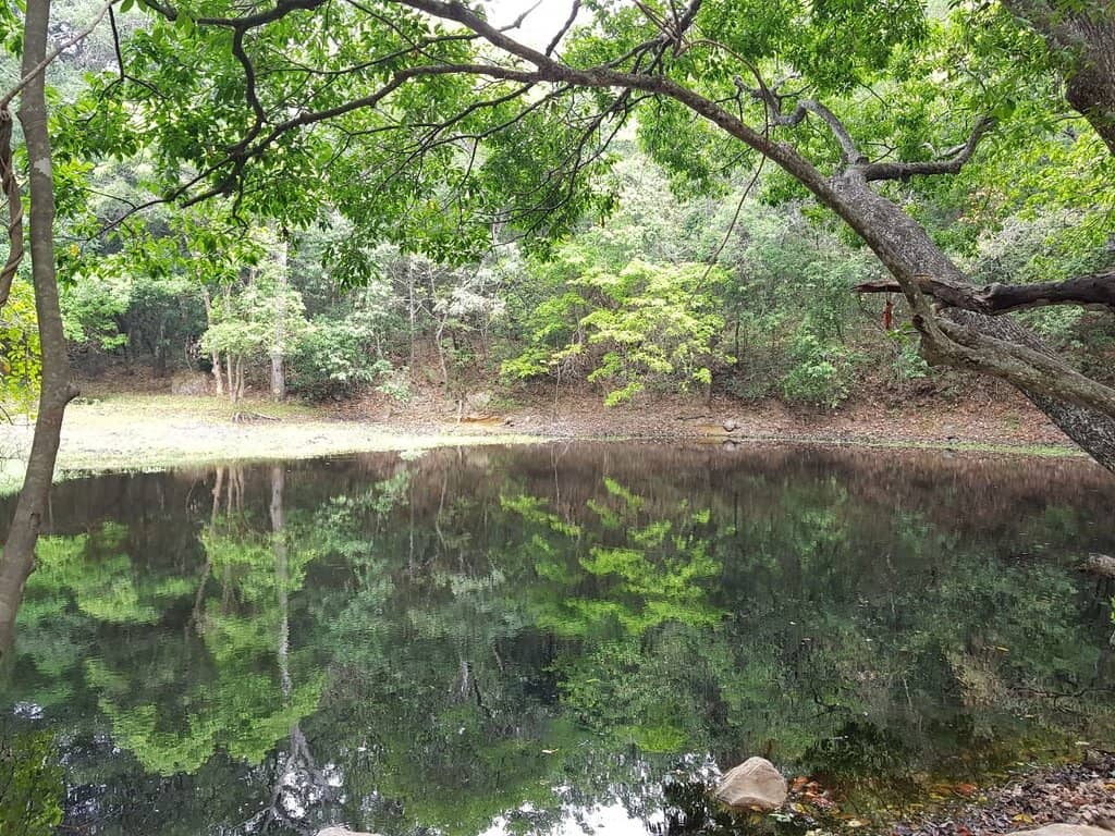 Sacred Pond