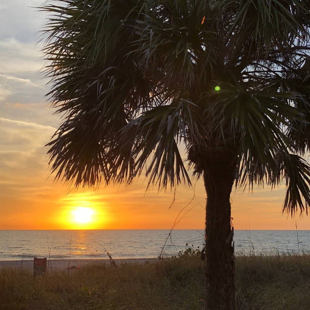Sunset Views