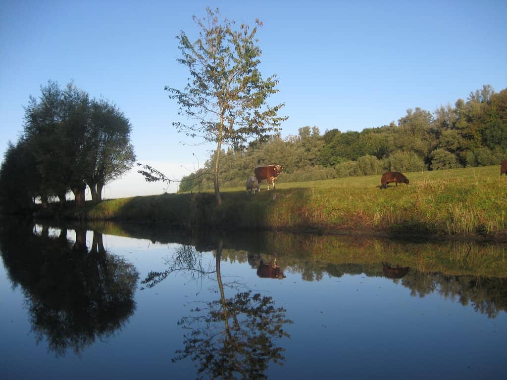 Walking & Cycling Trails