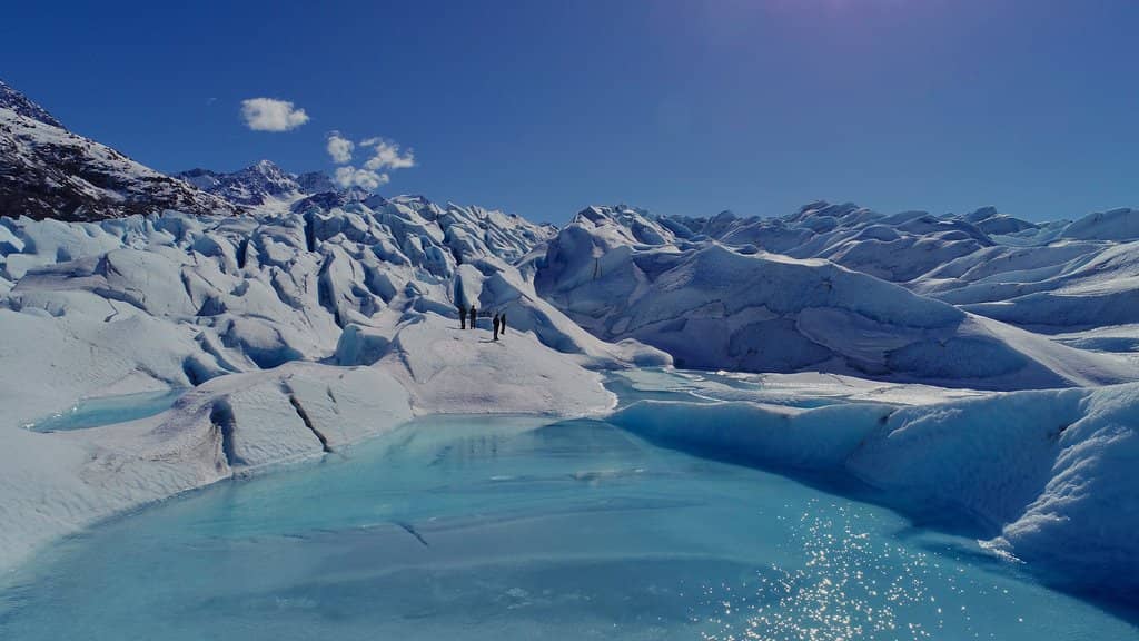 Sled Dog Mushing on a Glacier