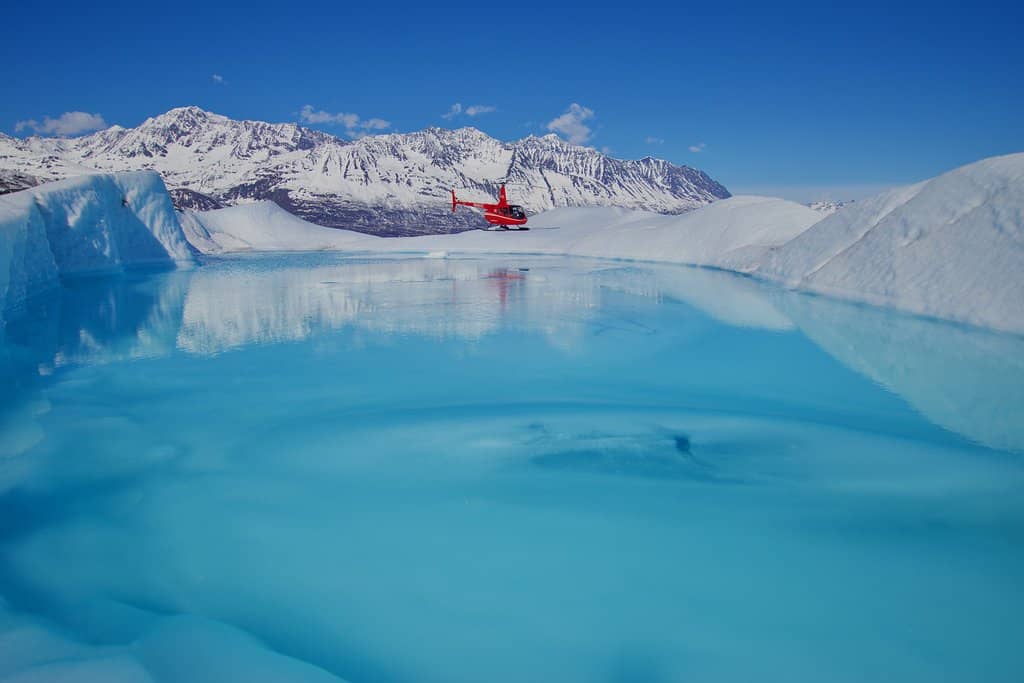 Wildlife Spotting from Above