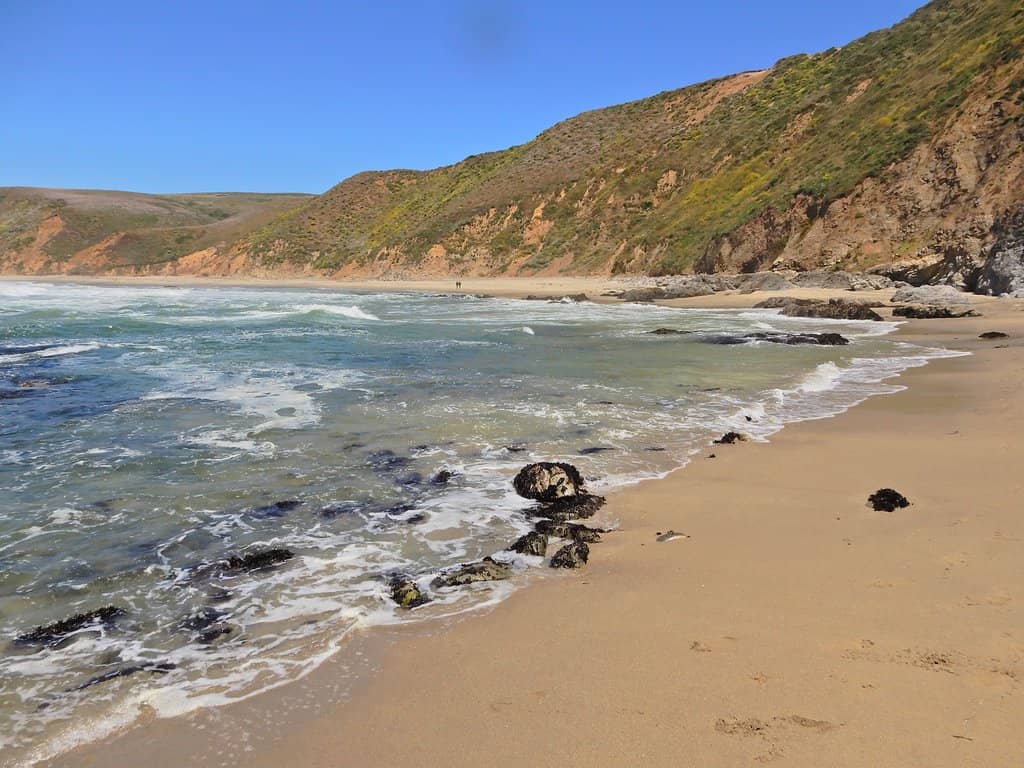 Scenic Trail to the Shore