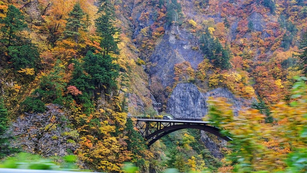 Vertical photo