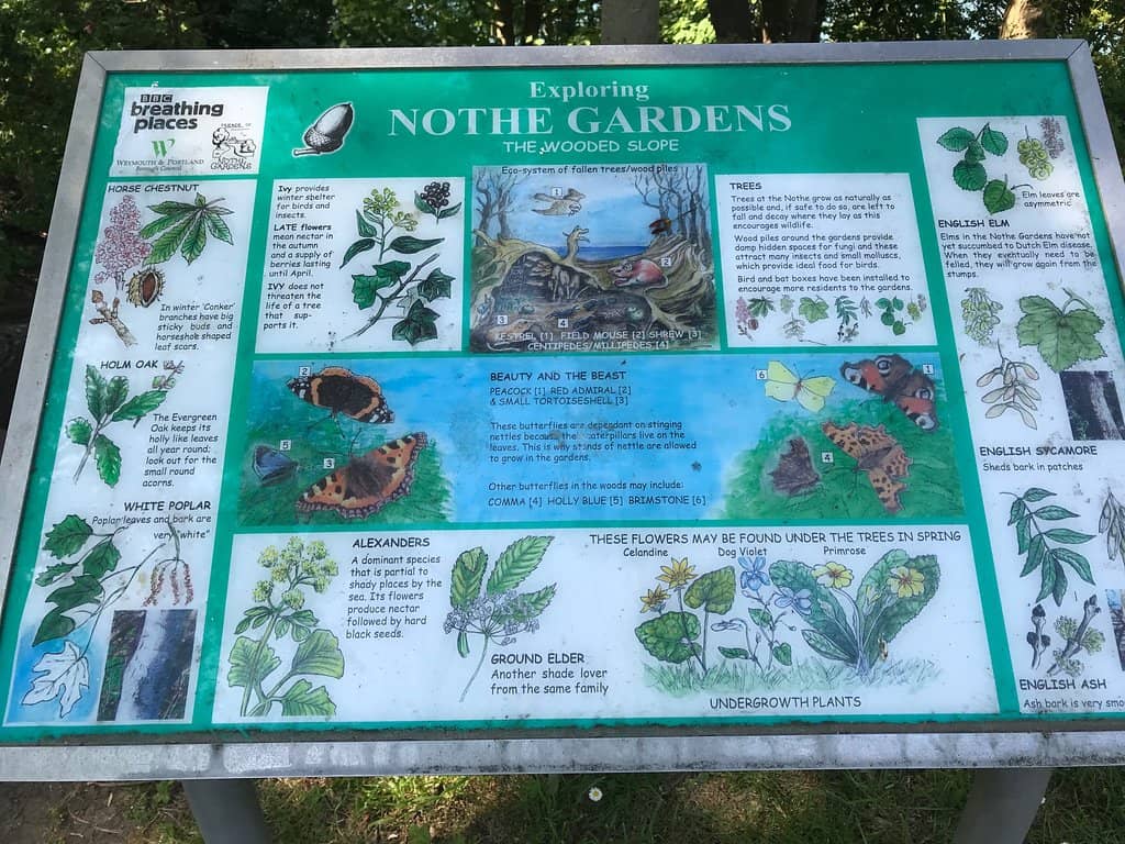 Panoramic Ocean Vistas