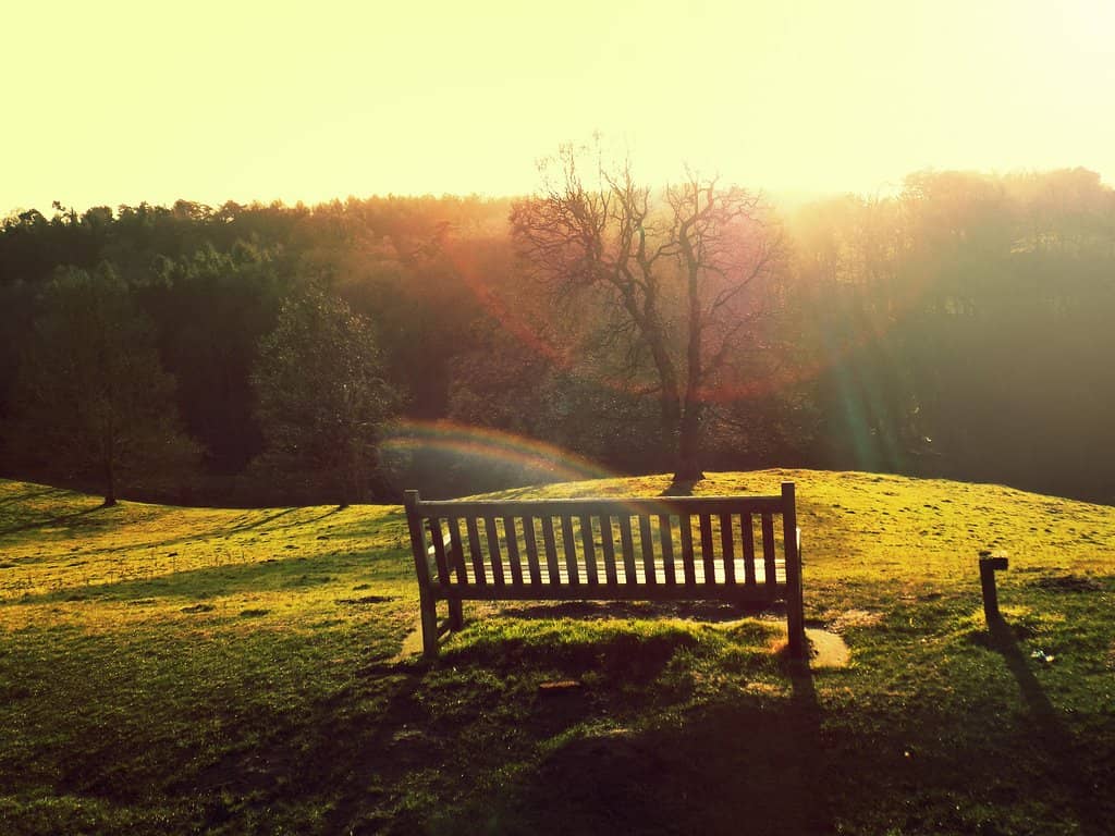 Residential Library Experience