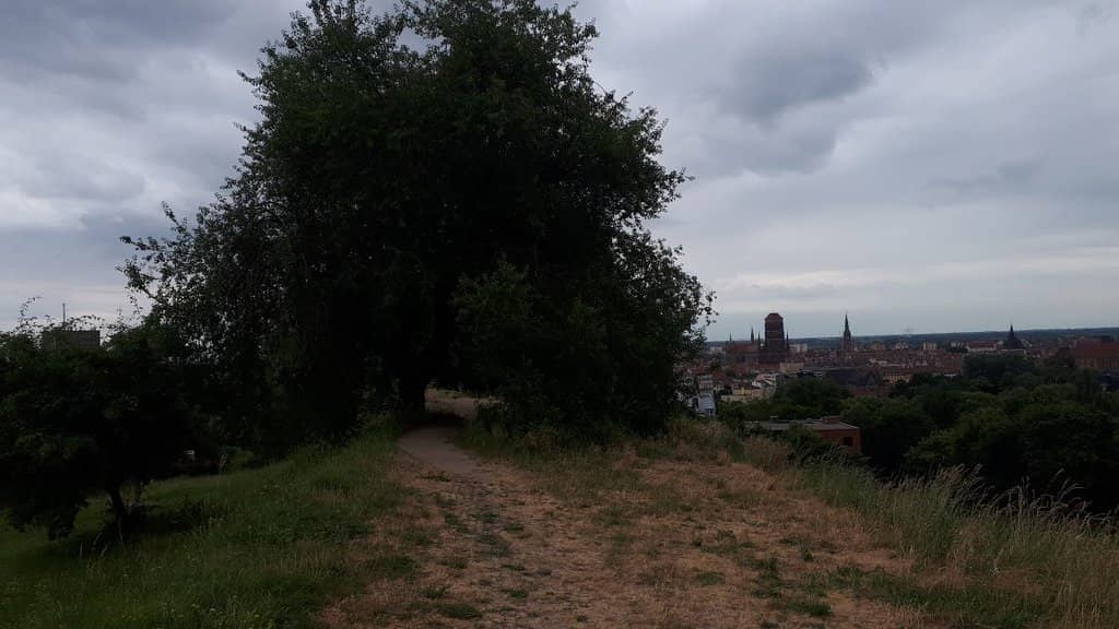 Panoramic City Views