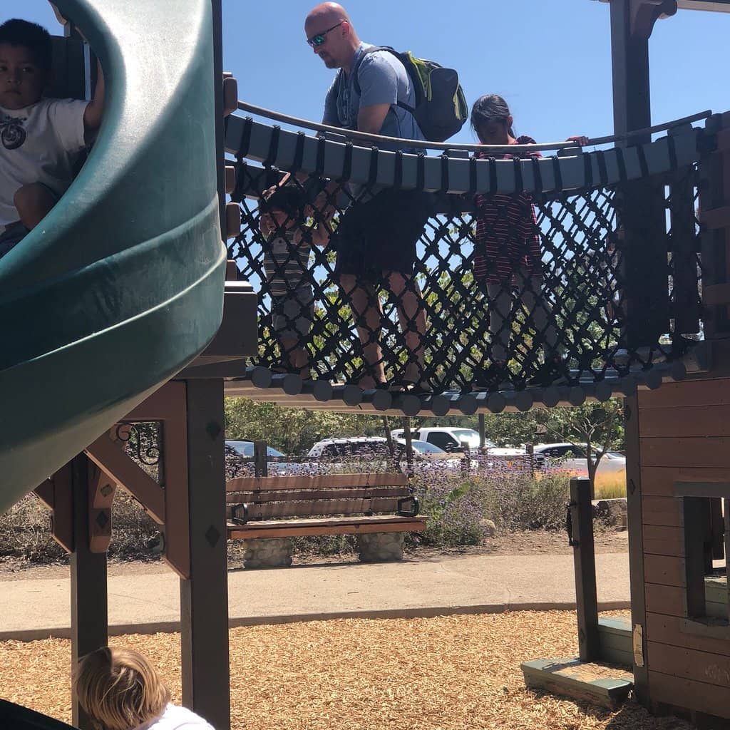 Vertical photo