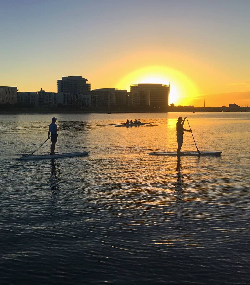 Sunset Swan Boat Ride