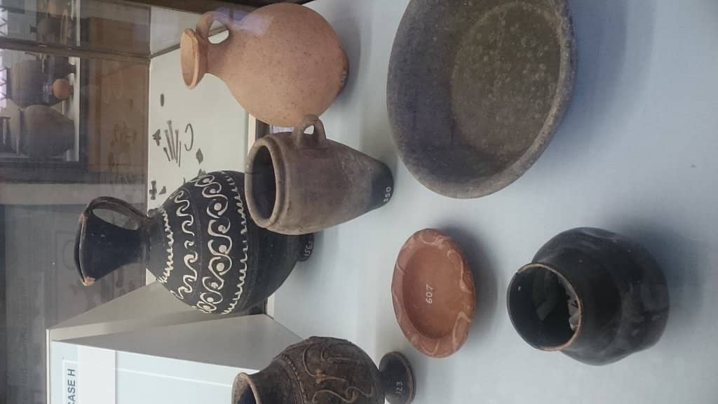 Knowledgeable Volunteers