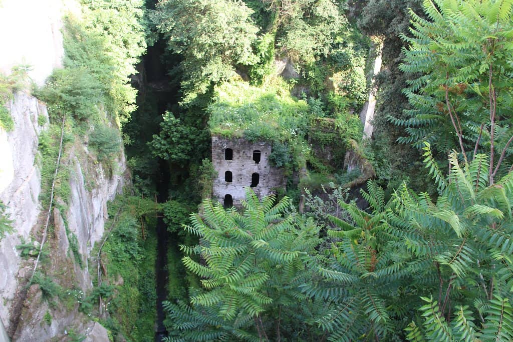 Historic Sawmill Ruins