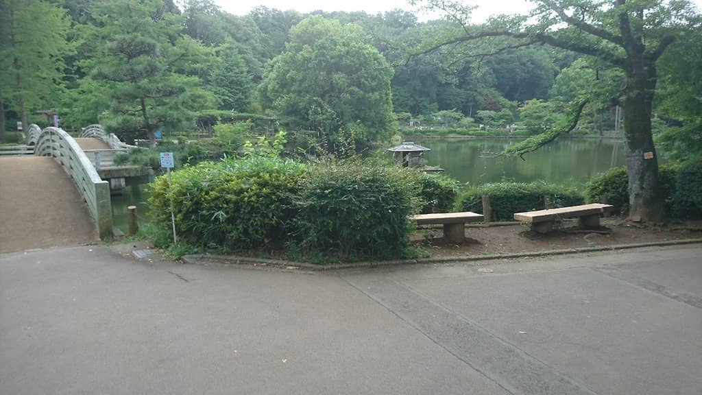 Seasonal Flower Spectacle