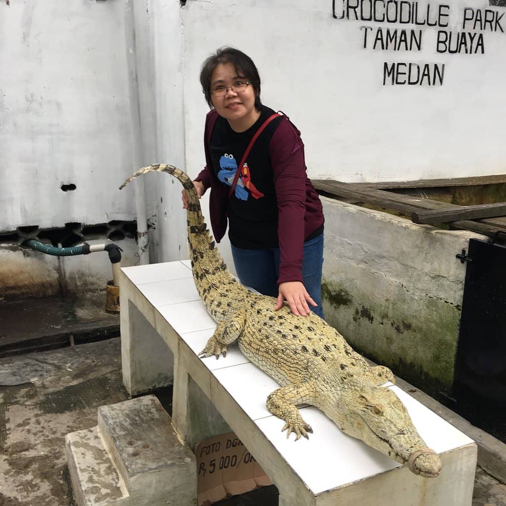 Farm Development in Progress