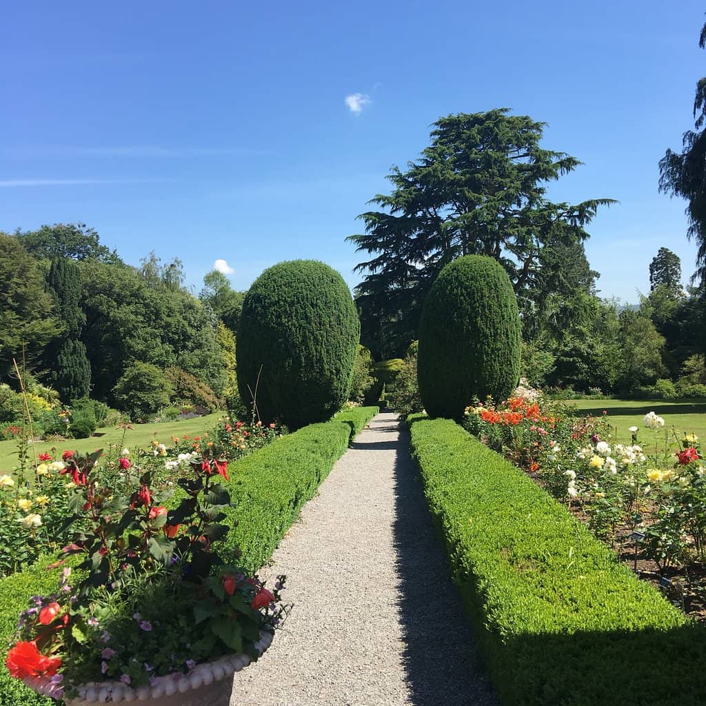 The Bog Garden