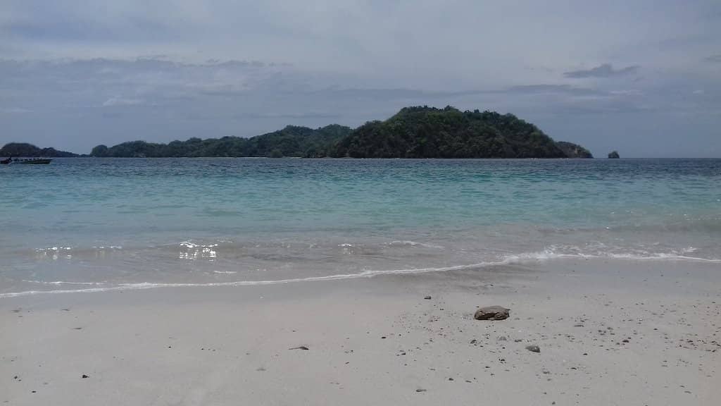 Abundant Wildlife Sightings