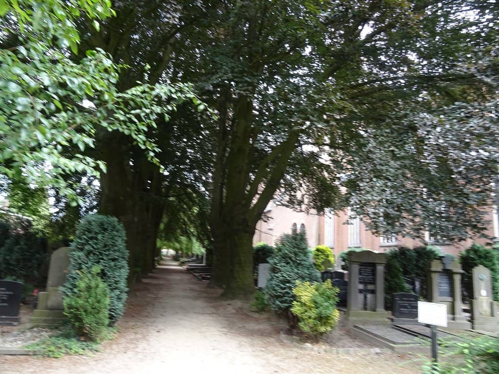 Smits Organ