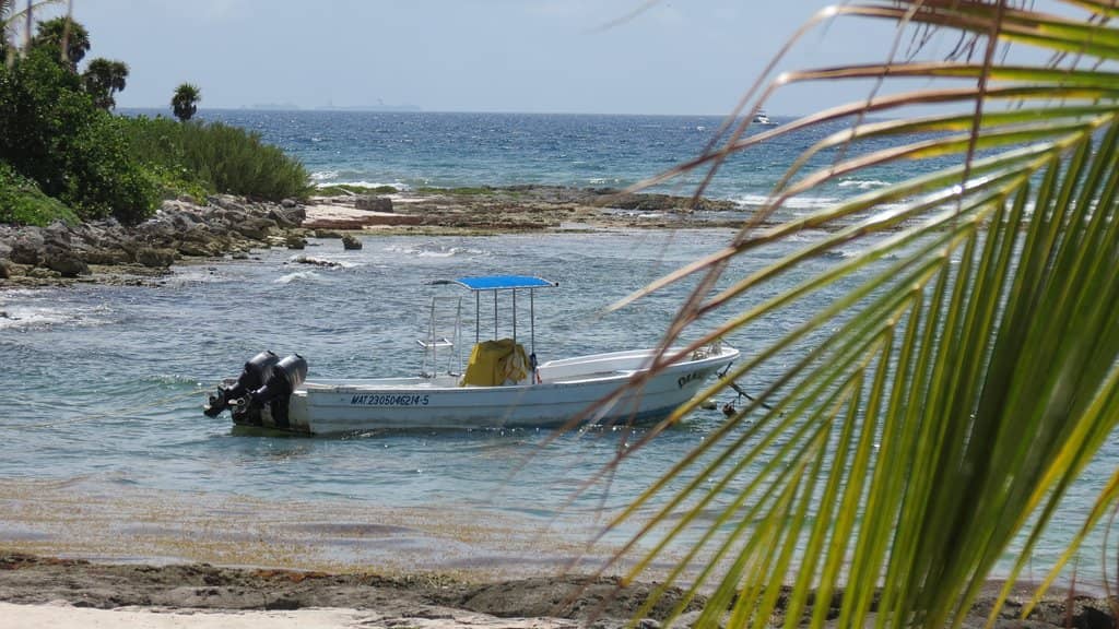 Tranquil Beachfront
