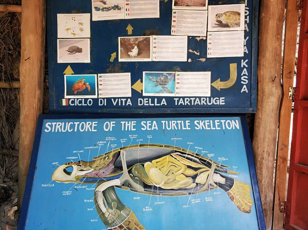 Learn About Conservation