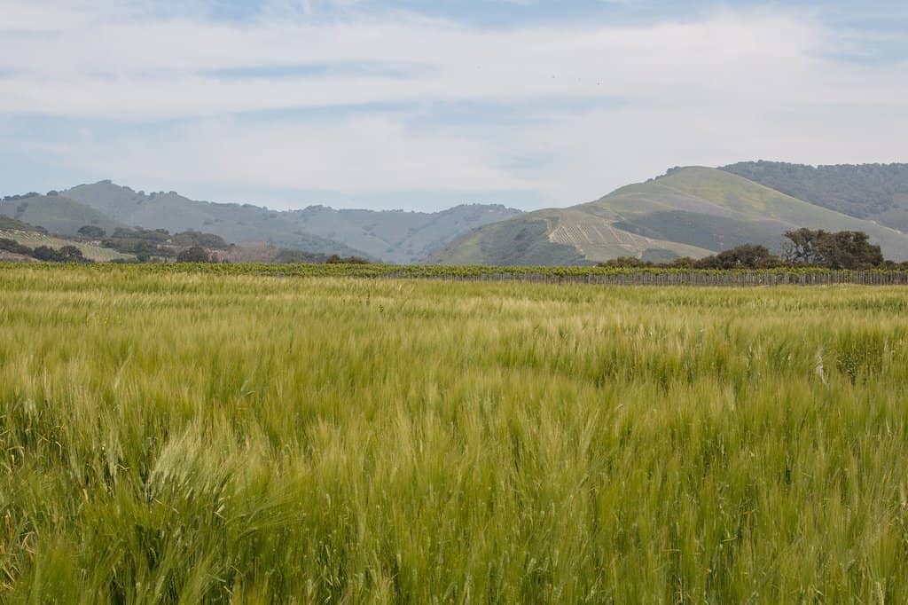 Barrel Room Tastings