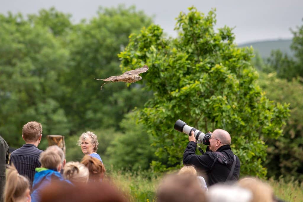 Themed Gardens & Lakes
