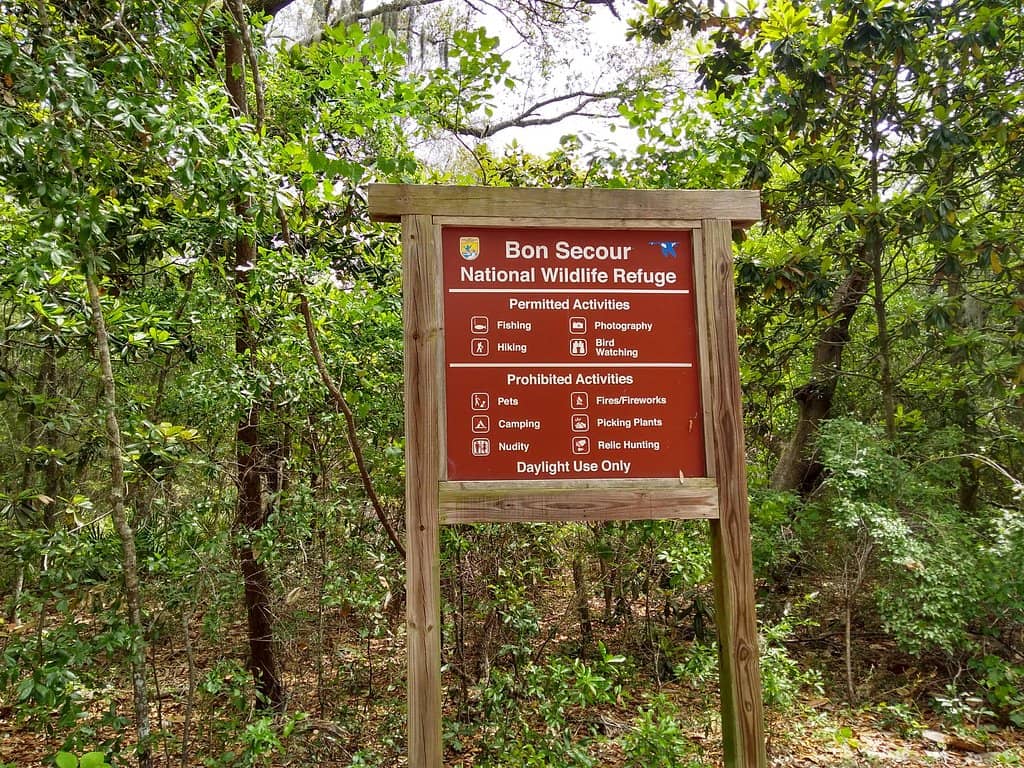 Pine Beach Trail