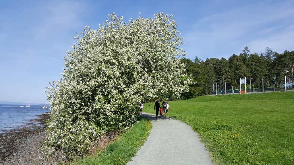 Challenging Coastal Hike