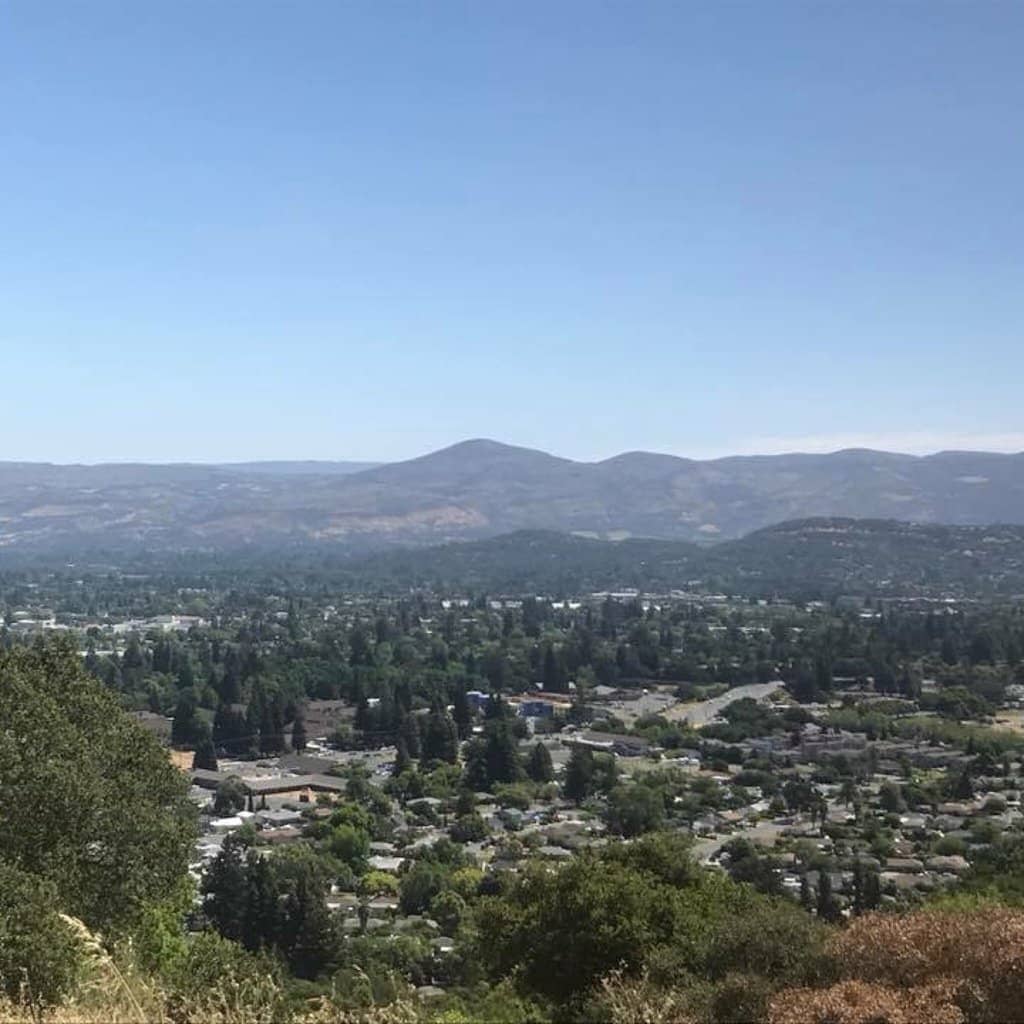 Vineyard Views