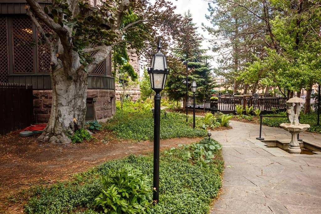 Exquisite Garden Setting