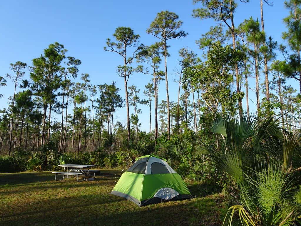 Generator-Free Nights