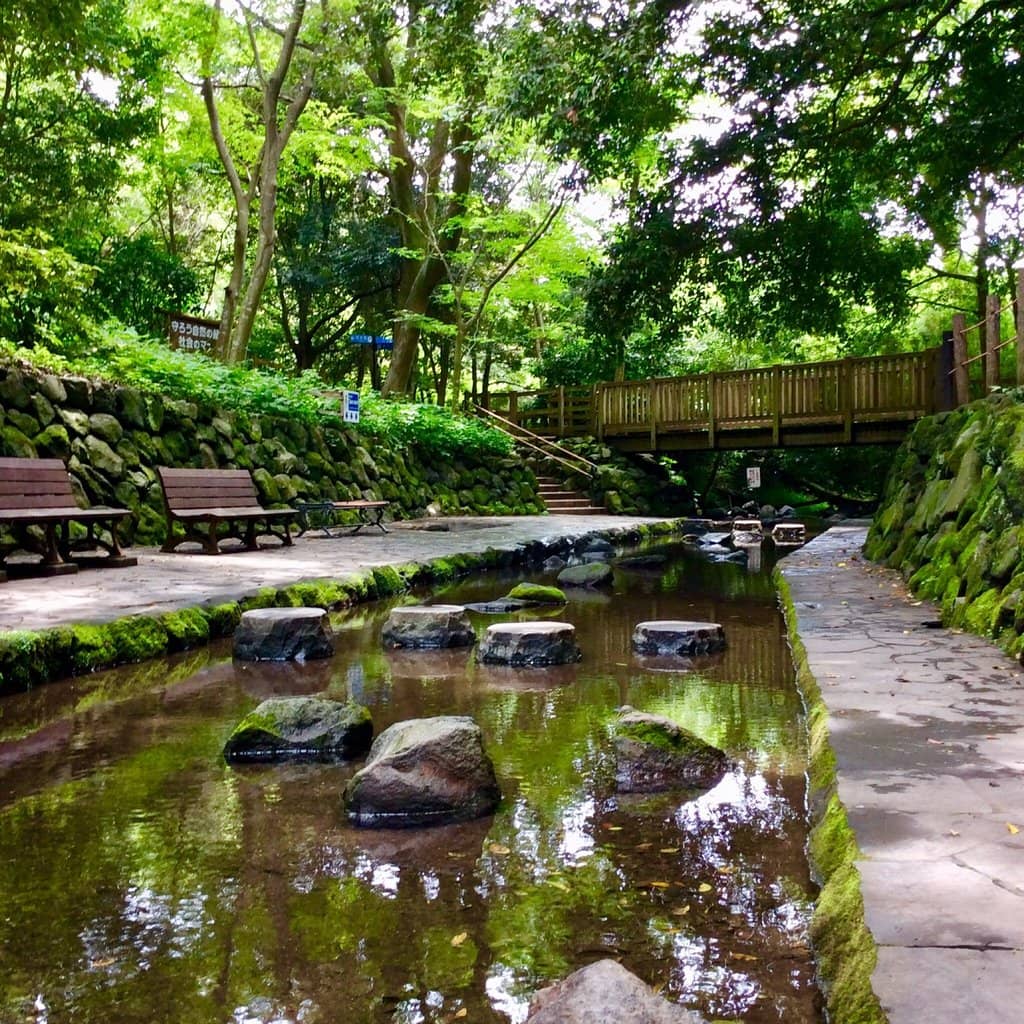 Scenic Walking Trails