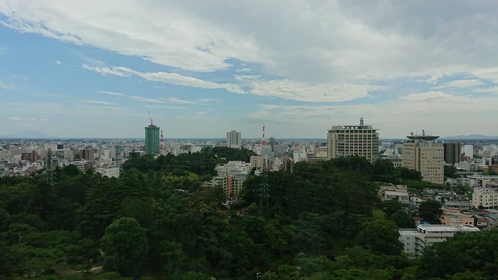 Cherry Blossom Spectacle