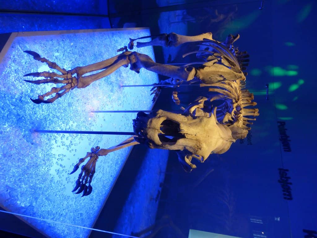 Attentive & Knowledgeable Staff