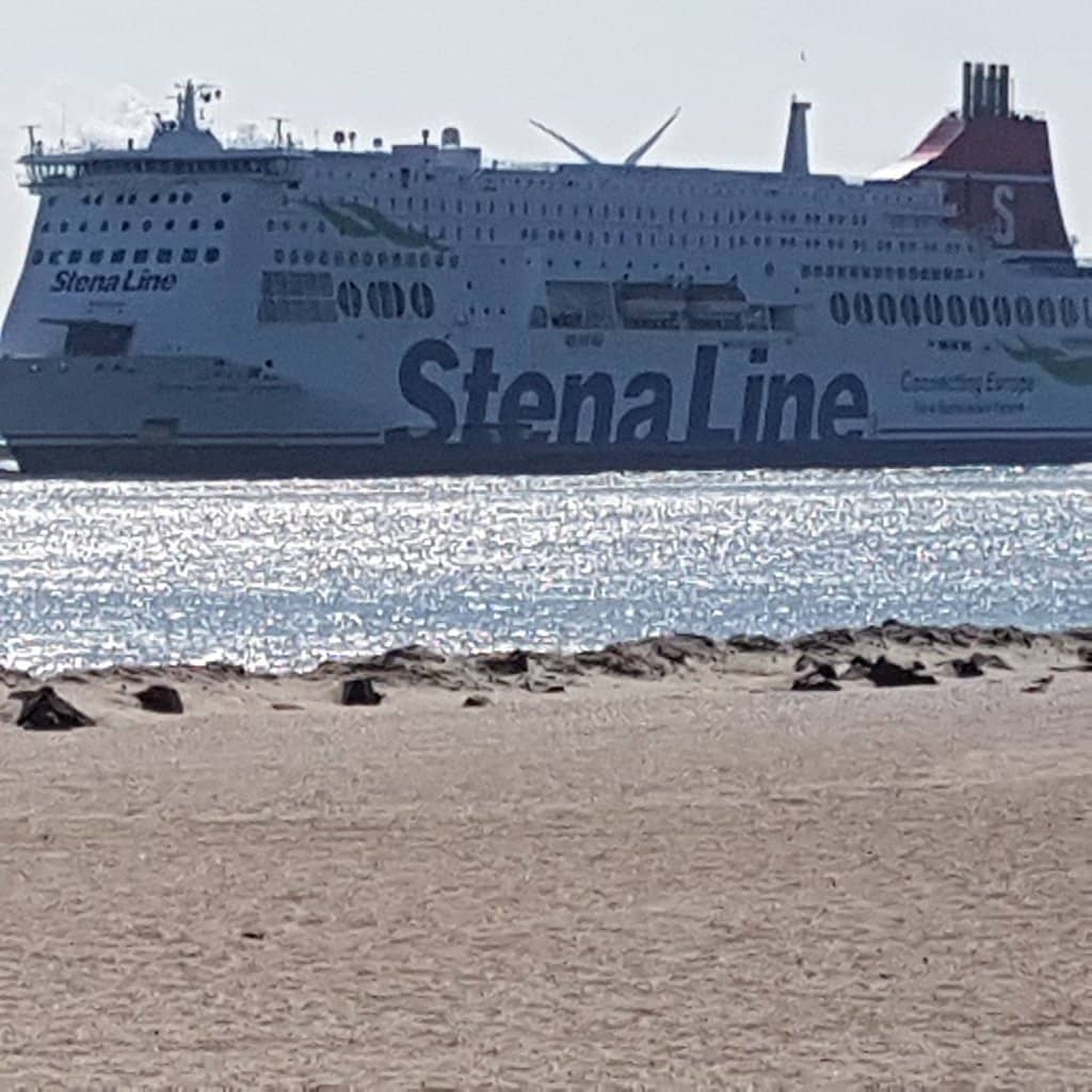 Dune Landscape Exploration