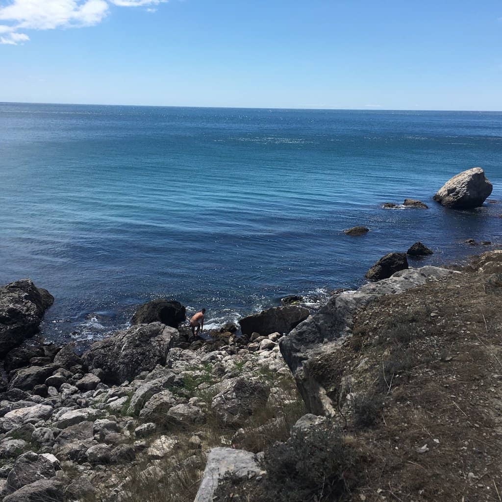 Juniper Forest Trails