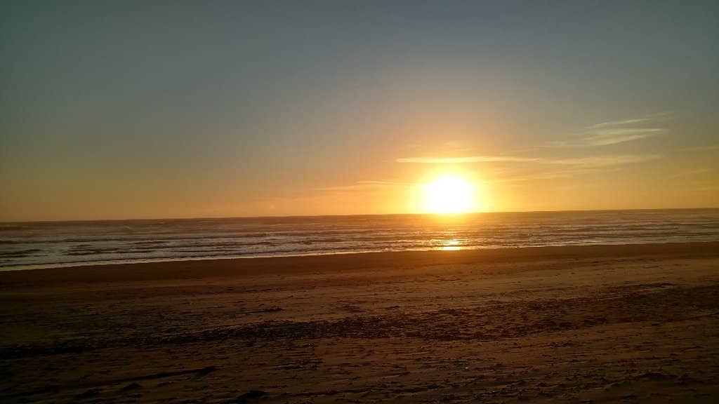 Tidepool Exploration