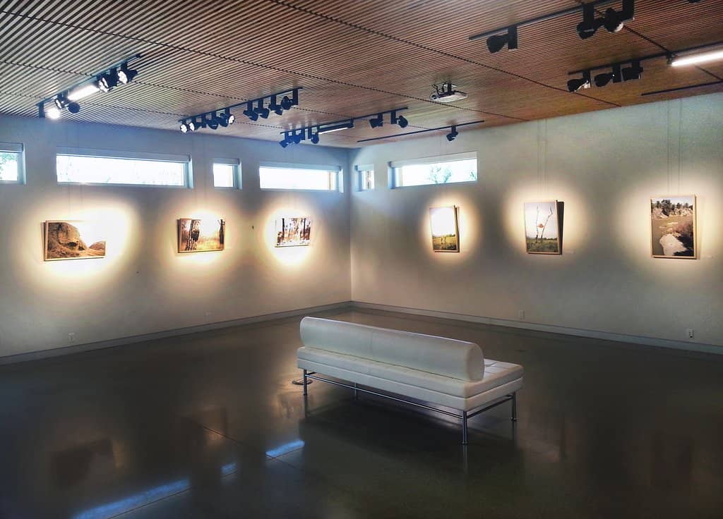 Origami Animal Art Exhibit