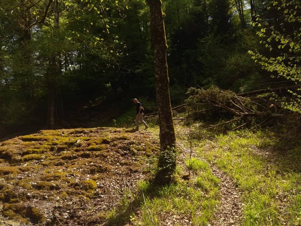 Lush Nature & Sandstone Formations