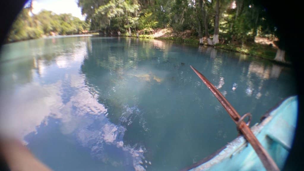 Zip Line Adventure