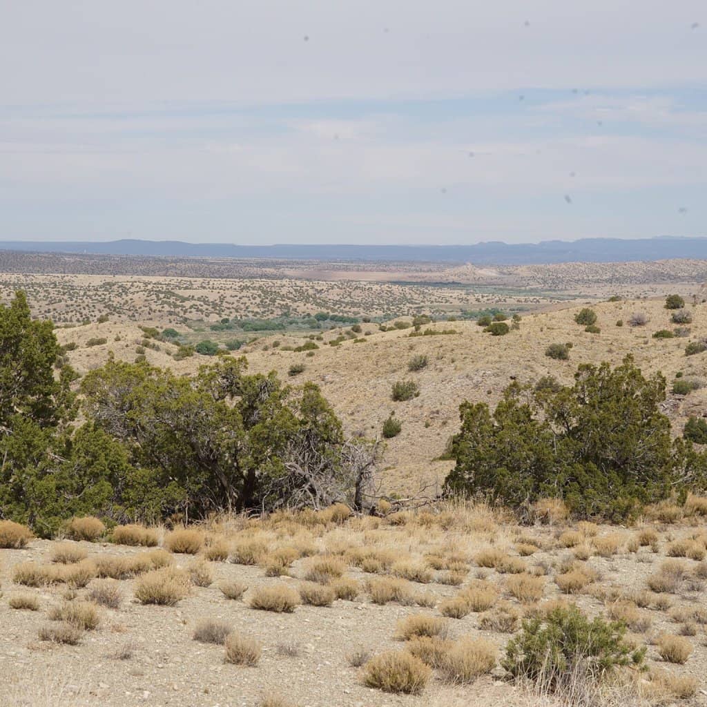 Mirador Overlook
